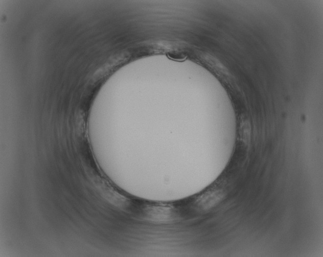 X0000081280318200702012225