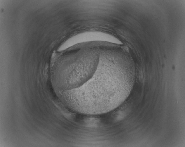 X0000081280319200702012225