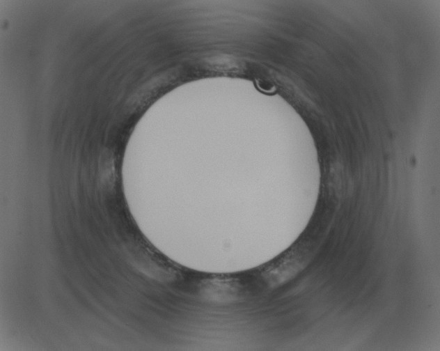 X0000081280320200702012225