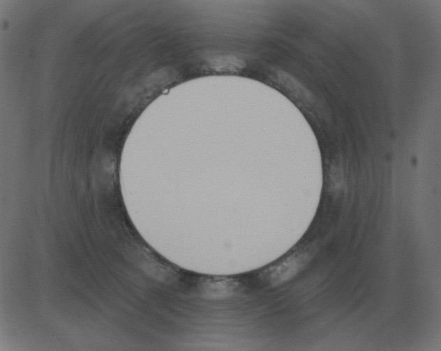 X0000081280321200702012225