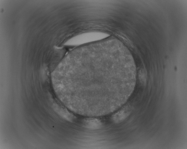 X0000081280322200702012225