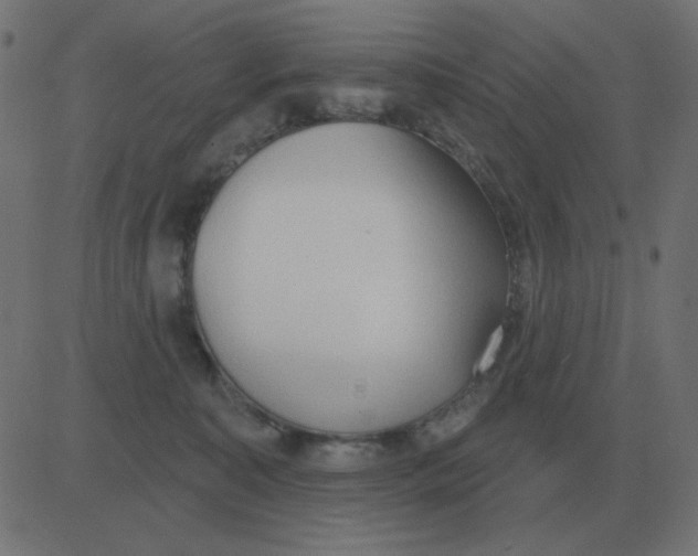 X0000081280323200702012225