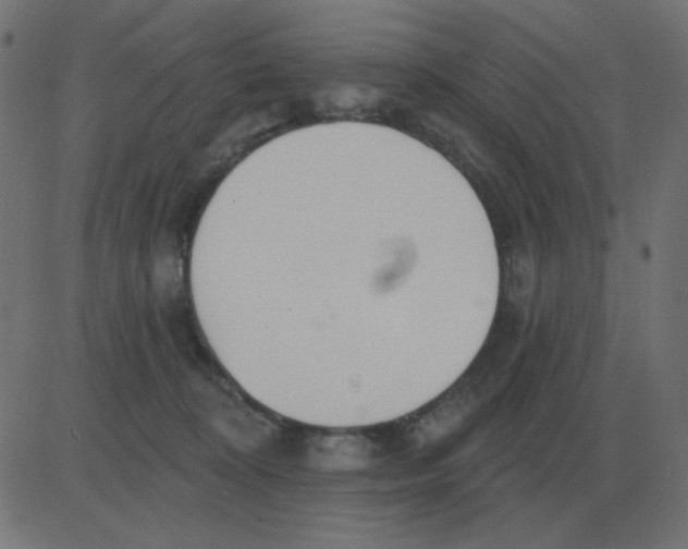 X0000081280324200702012225