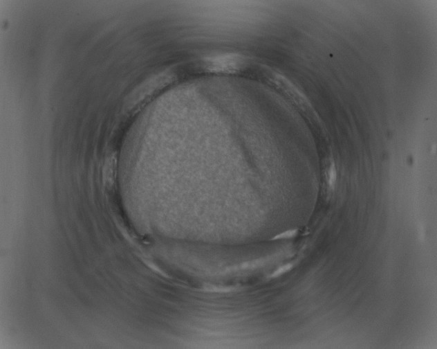 X0000081280325200702012225