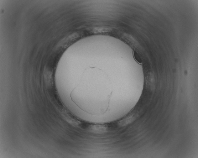 X0000081280327200702012225