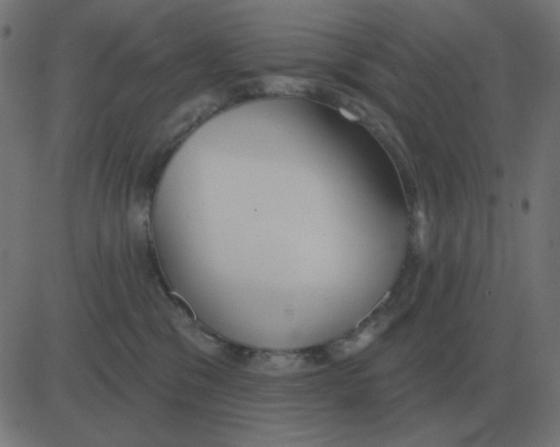 X0000081280329200702012225