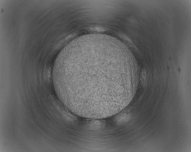 X0000081280330200702012225