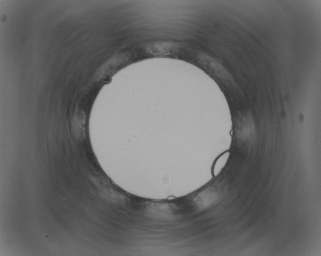 X0000081280332200702012225