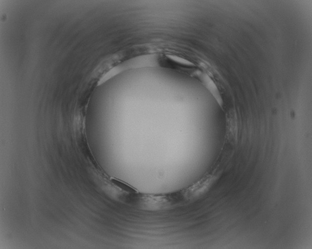 X0000081280333200702012225