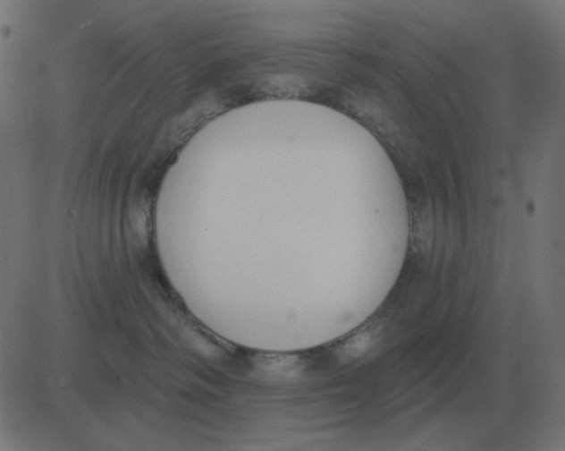 X0000081280334200702012225