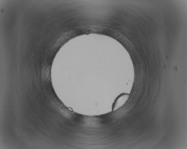 X0000081280336200702012225