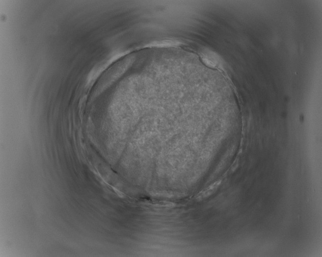 X0000081280337200702012224