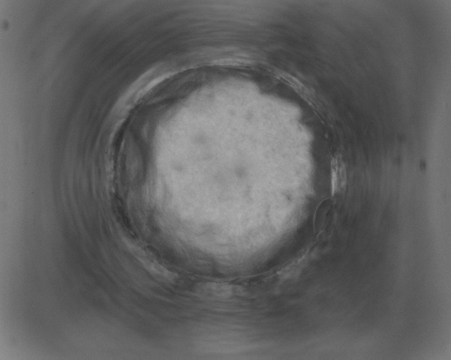 X0000081280339200702012224