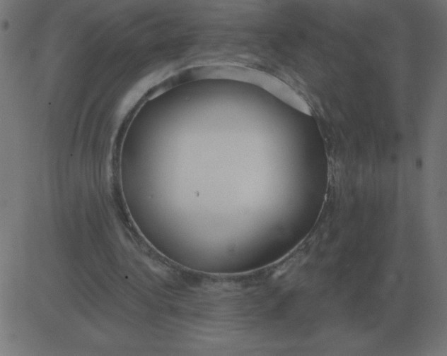 X0000081280340200702012224