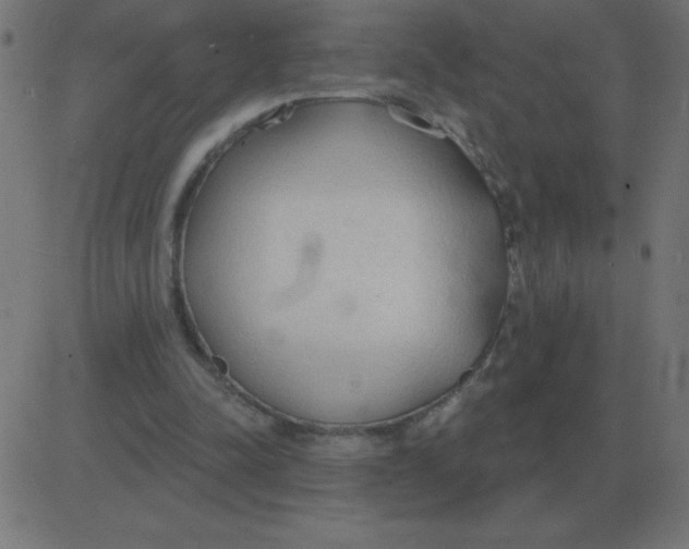 X0000081280342200702012224