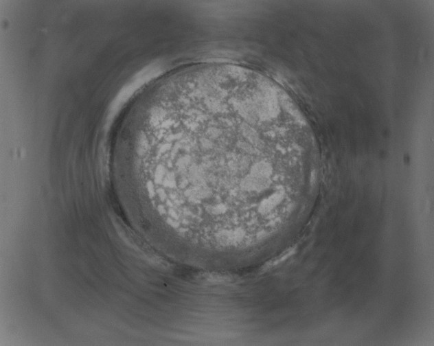 X0000081280343200702012224