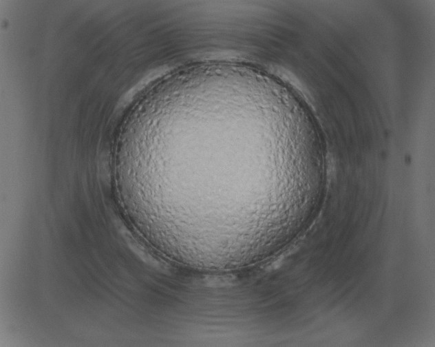 X0000081280345200702012224