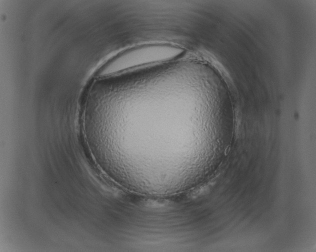 X0000081280346200702012224