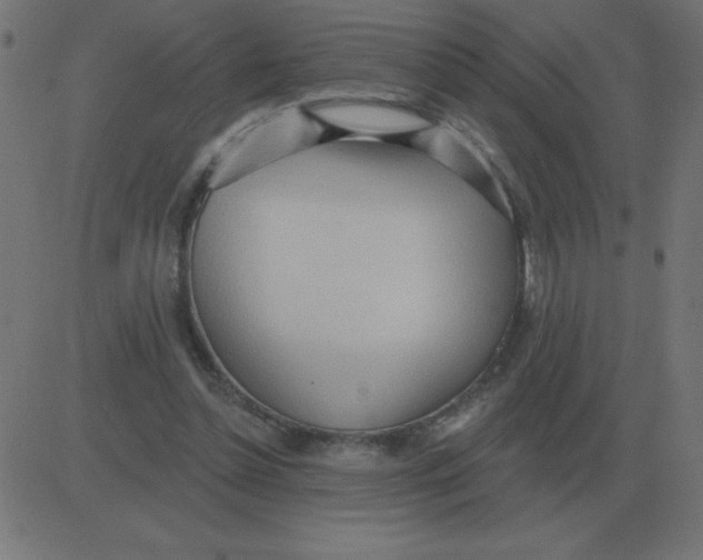 X0000081280348200702012224