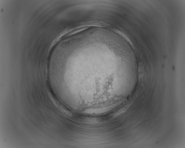 X0000081280349200702012224