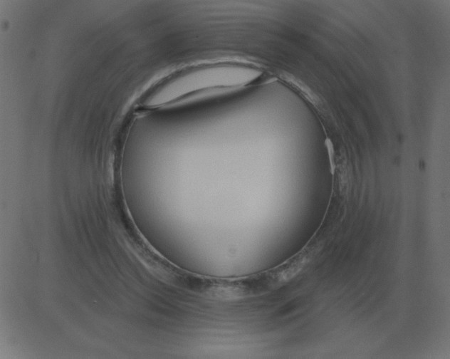 X0000081280350200702012224