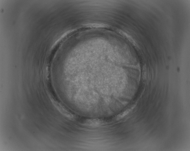 X0000081280351200702012224