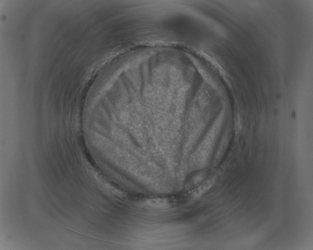 X0000081280353200702012224