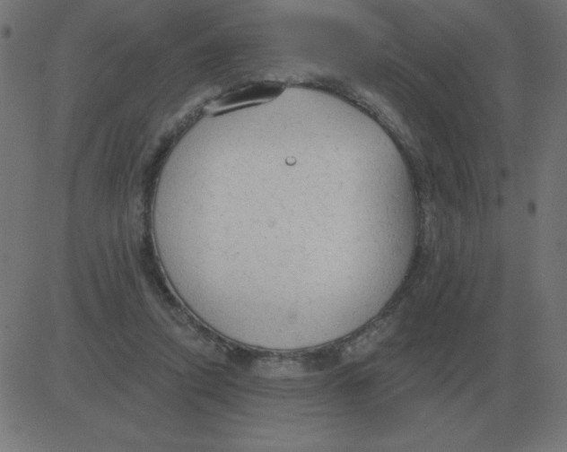 X0000081280354200702012224