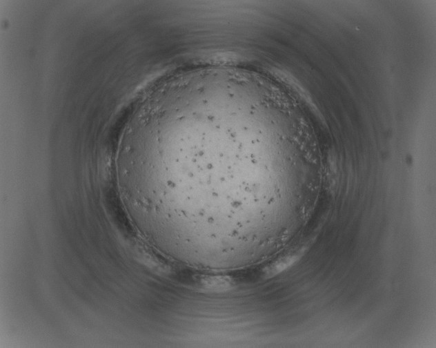 X0000081280355200702012224