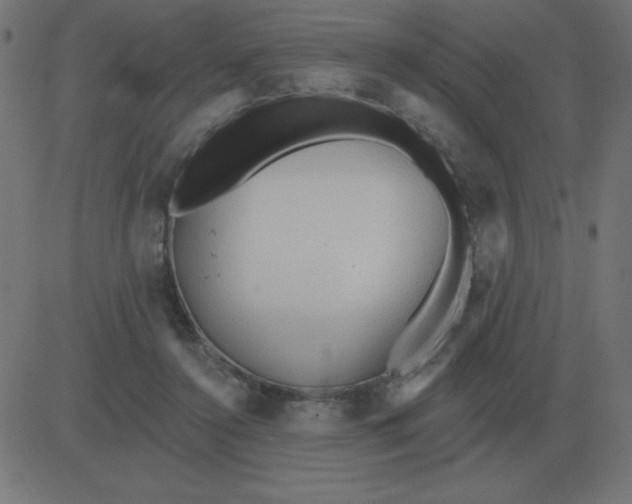 X0000081280356200702012224