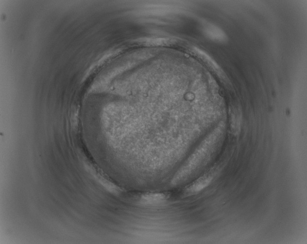 X0000081280357200702012224