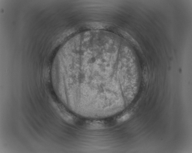 X0000081280359200702012224