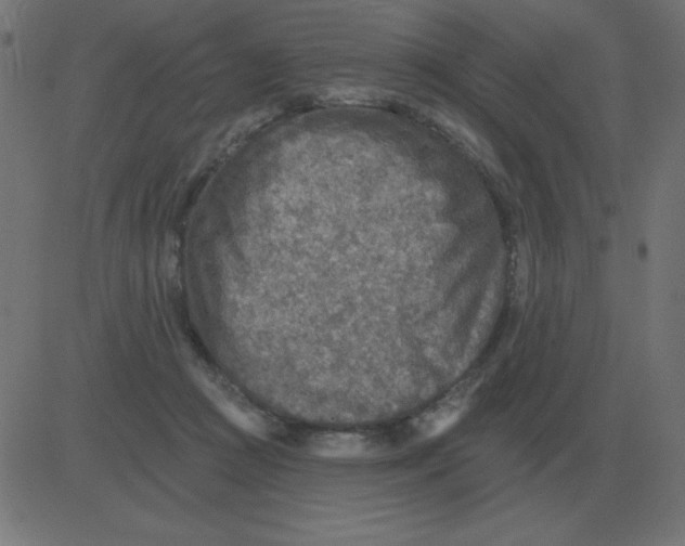 X0000081280361200702012224