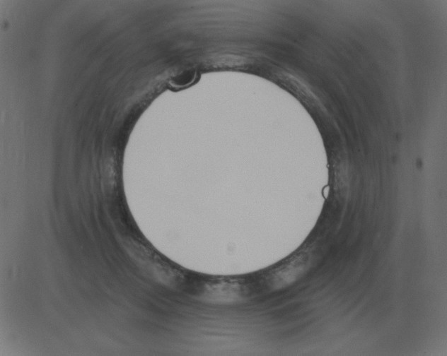 X0000081280362200702012224