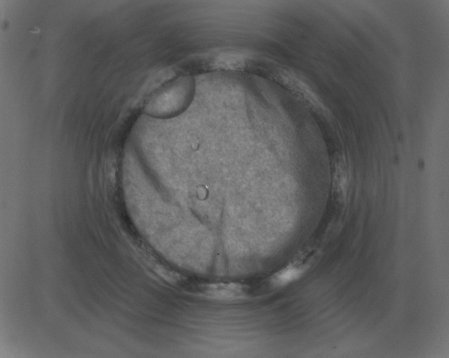 X0000081280363200702012224