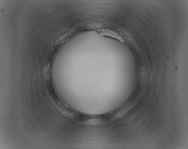 X0000081280364200702012224