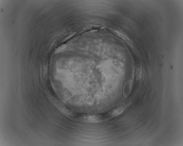 X0000081280365200702012224