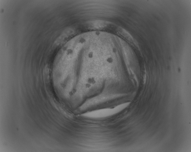 X0000081280366200702012224