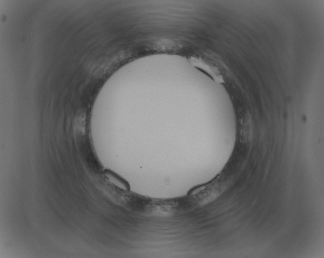 X0000081280368200702012224