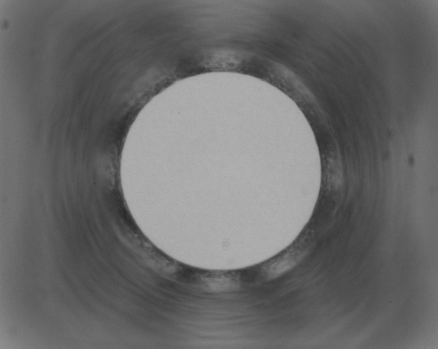 X0000081280370200702012224