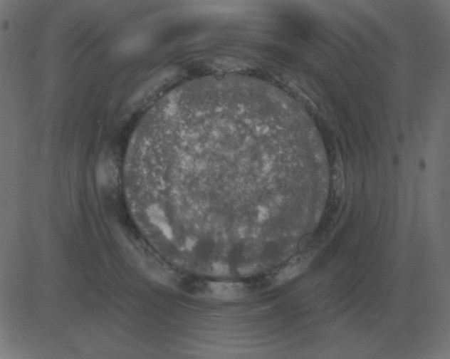 X0000081280371200702012224