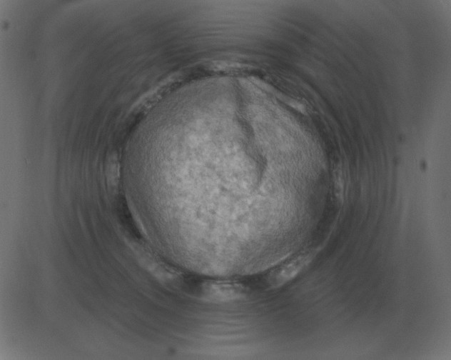 X0000081280372200702012225