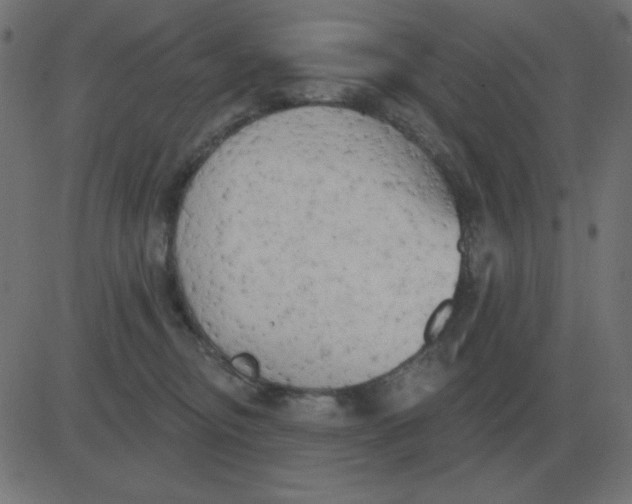 X0000081280374200702012225