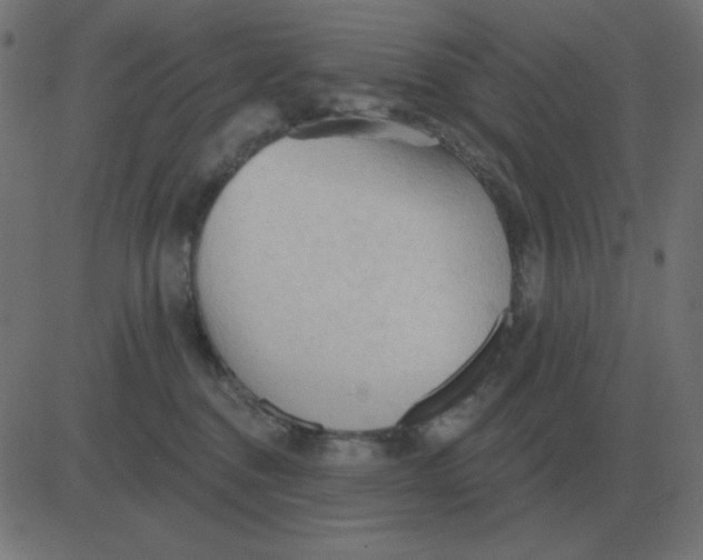 X0000081280376200702012225