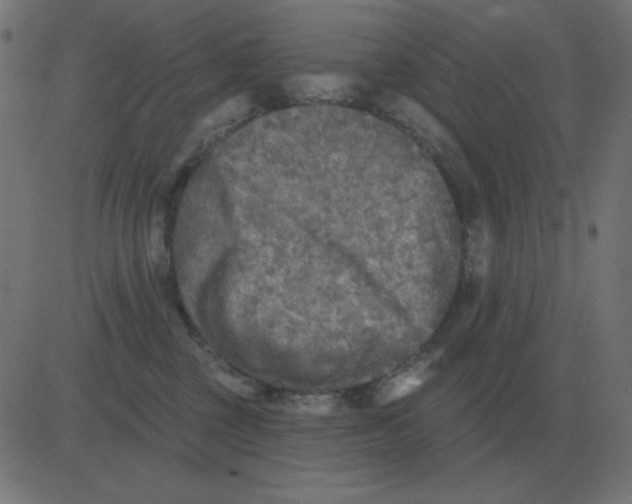 X0000081280377200702012225