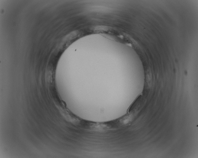 X0000081280379200702012225