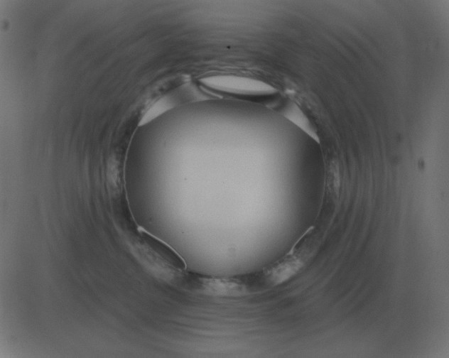 X0000081280380200702012225