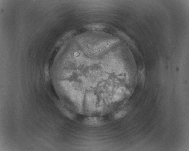 X0000081280381200702012225