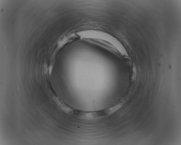 X0000081280382200702012225