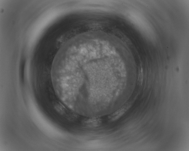 X0000081280383200702012225